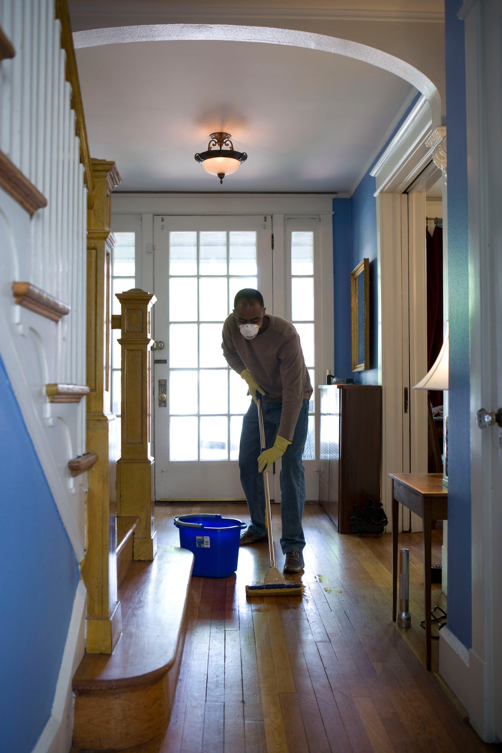 Professional cleaning services